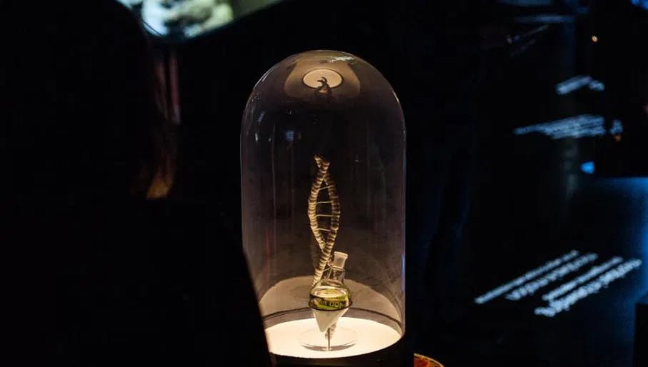 A glass jar of bacteria display at Museum Micropia in ARTIS