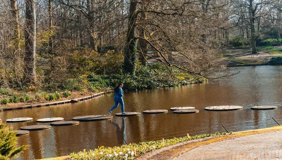 The Keukenhof is a flower park northwest of Lisse, in the Dutch province of South Holland, where bulbous plants from horticultural companies from the bulb region are exhibited every spring.