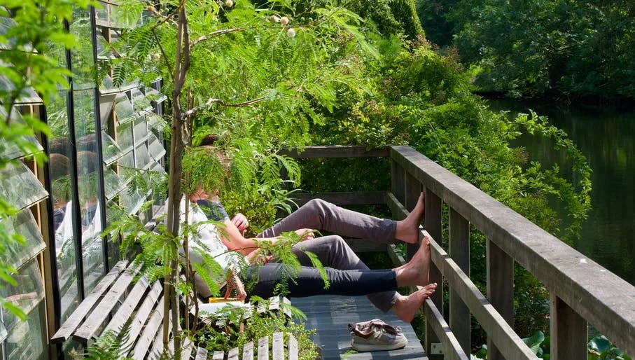 People enjoying the sun in Botanische Tuin Zuidas