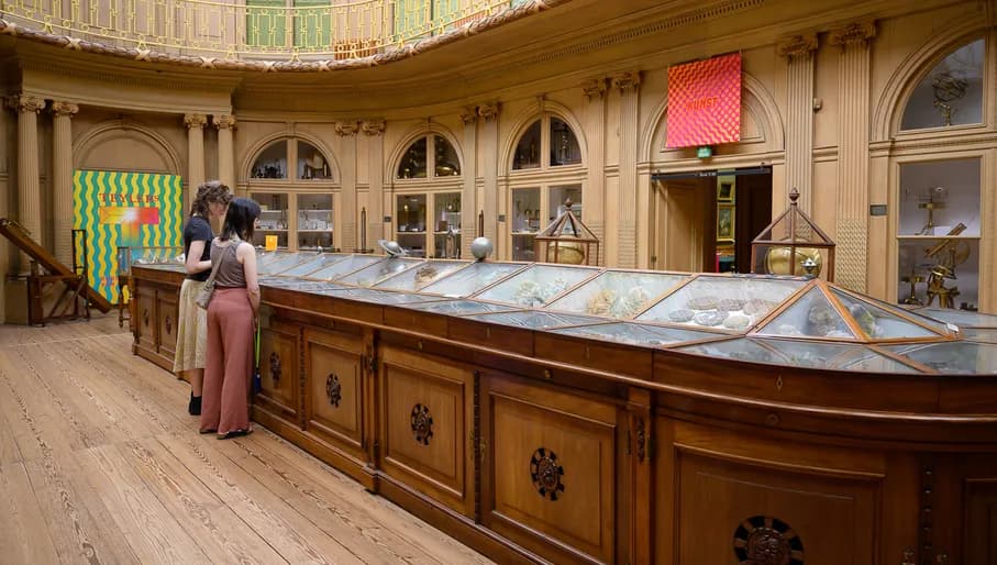 Teylers Museum in zomerse sferen tijdens Vier de zomer in Teylers.