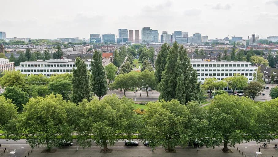 View from the Hilton Hotel