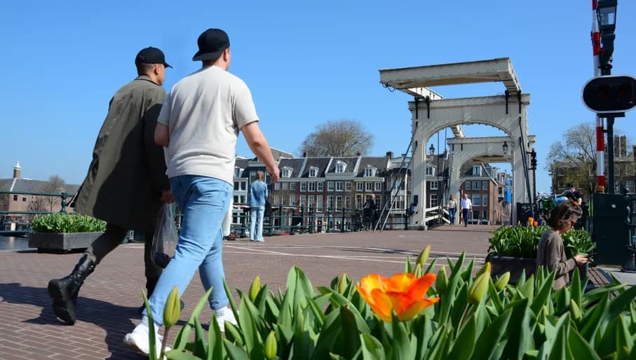 Magere brug / Skinny Bridge during Tulp Festival 2021.