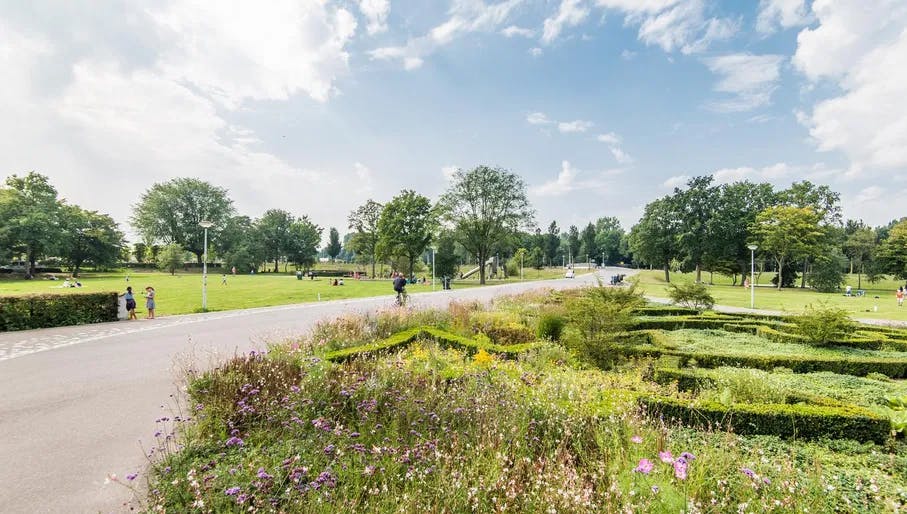 Noorderpark cycle path with gardens and flowers in summer