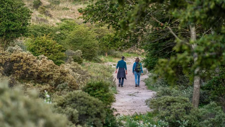 Walk or stroll in National Park Zuid-Kennemerland
