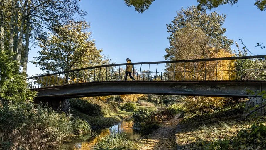 A person is walking over a bridge at the Westerpark on a sunny fall day.