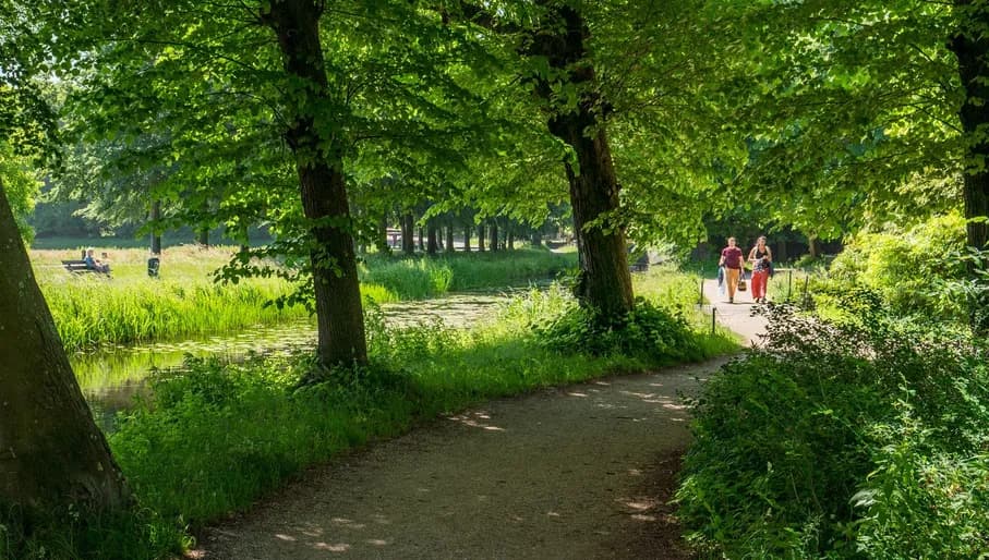 A couple walking through the forest around country house Elswout.