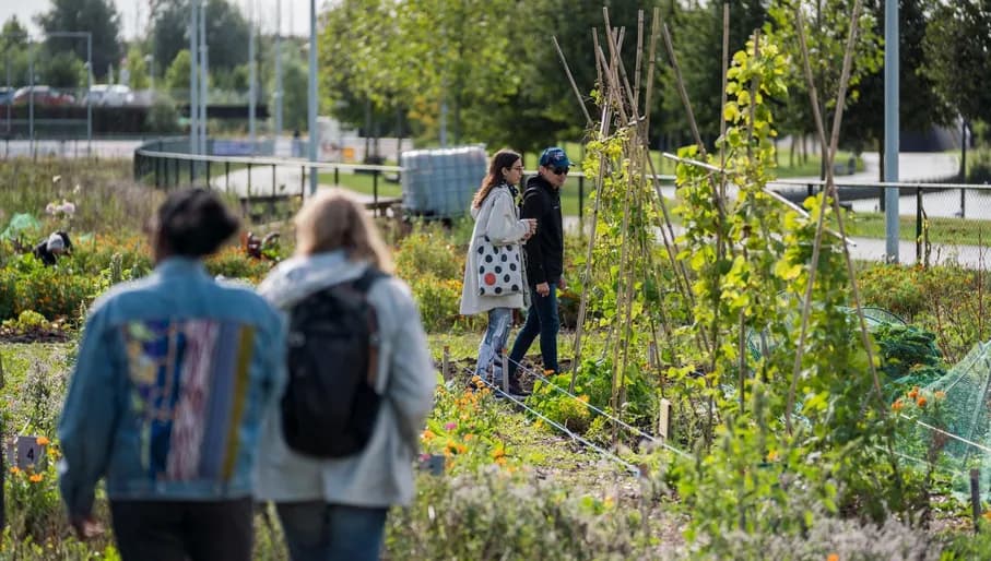 People visiting the garden of the Verfplantentuin Bloei en Groei at Nelson Mandelapark during 24H Zuidoost 2022.
