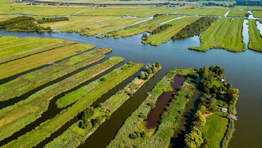 Wormer- en Jisperveld is a patchwork of water and meadows surrounded by reed beds and narrow ditches. It is the largest continuous peat meadow area in Western Europe.