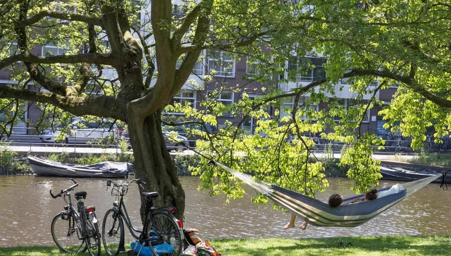 Westerpark person in hammock.