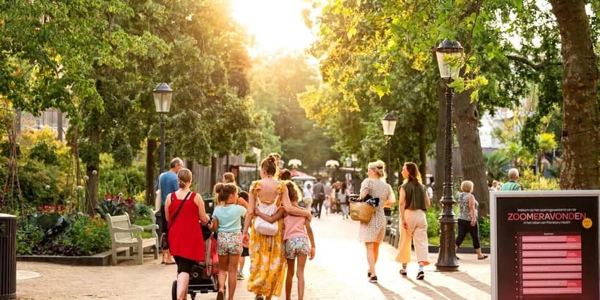 Artis Zoomeravonden Summer Nights zoo